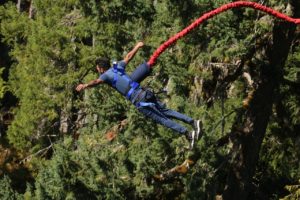 Bungee Jumping 