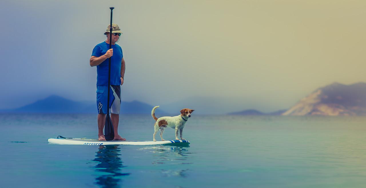 paddleboard
